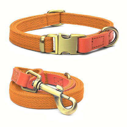 Rovers Haven Dog Collar and Leash Set