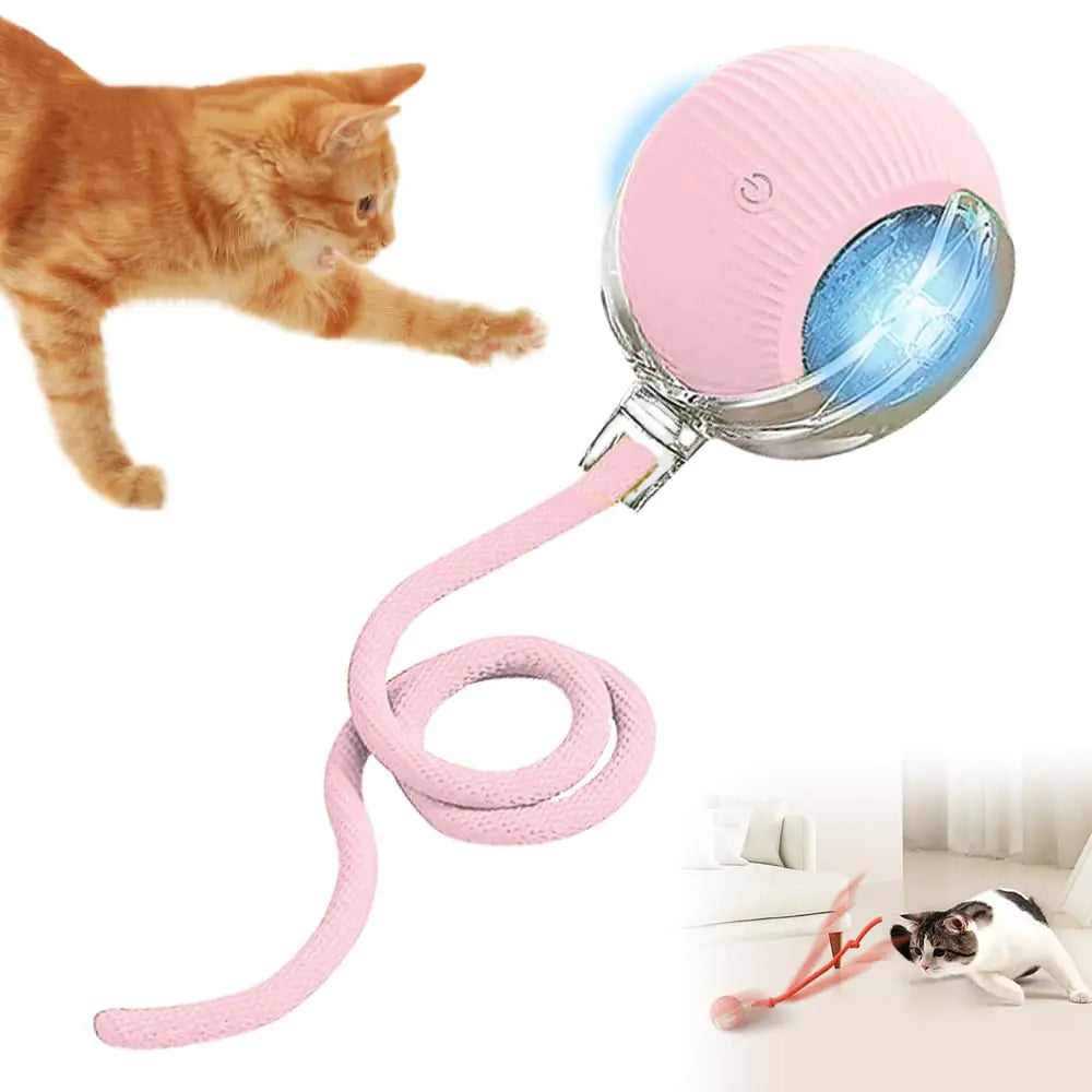 Self Rolling Interactive Cat Toy