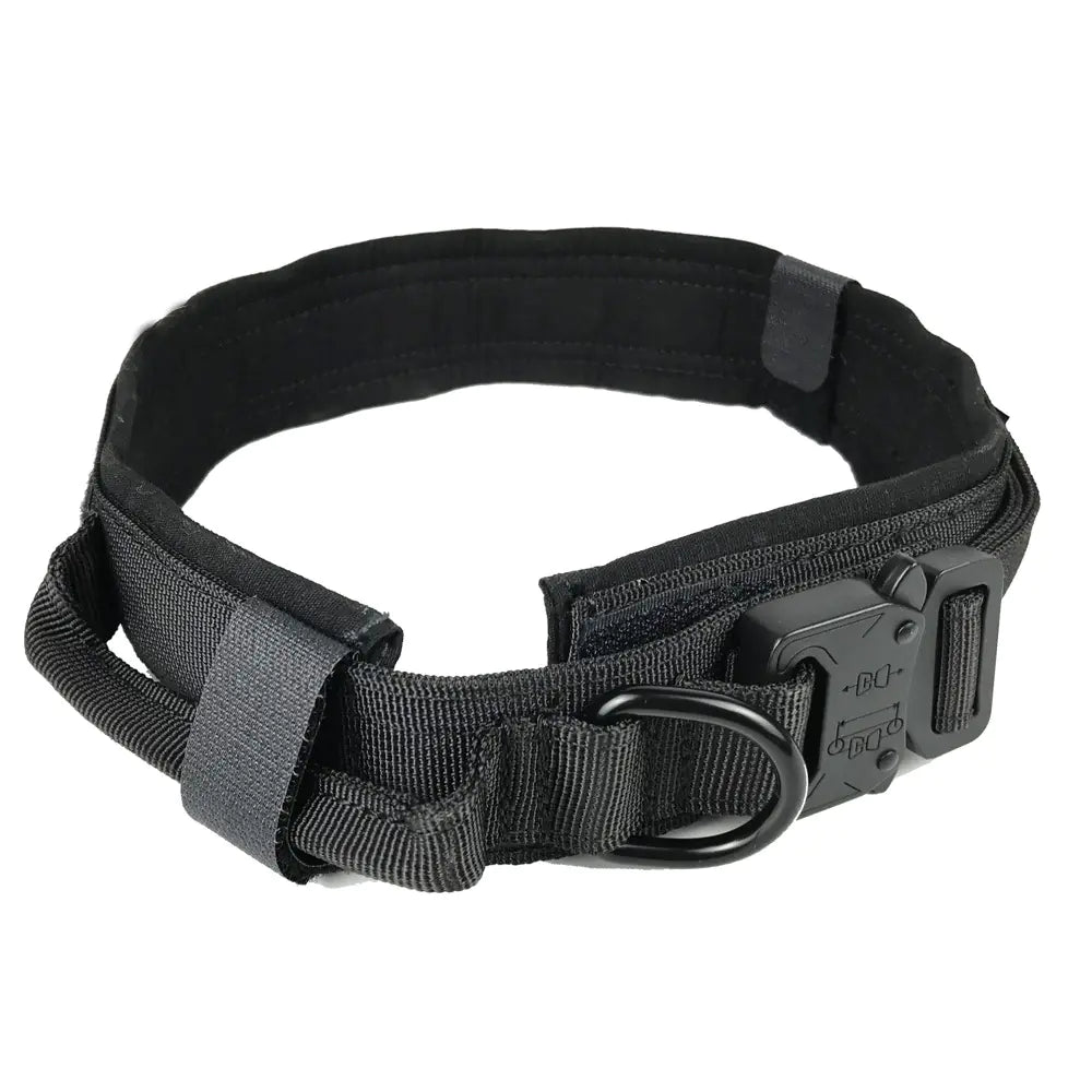 Dog Collar