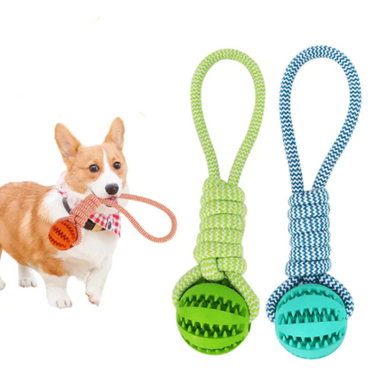 Interactive Rubber Dog Treat Toys