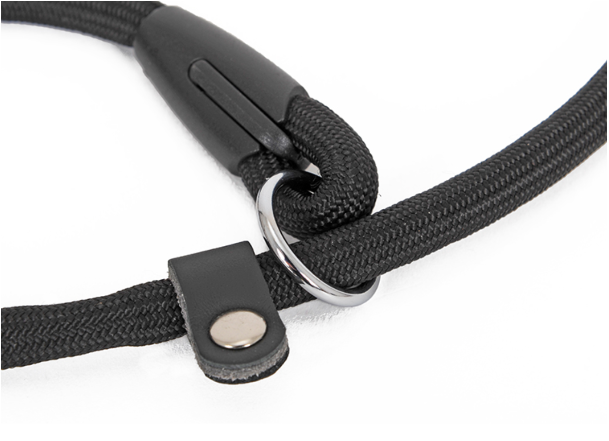 Rovers Haven - Double-headed Nylon Dog Collar