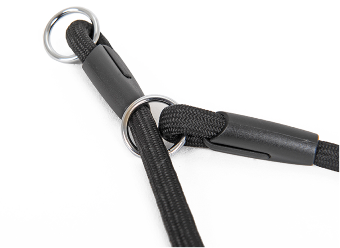 Rovers Haven - Double-headed Nylon Dog Collar