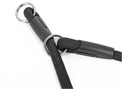 Rovers Haven - Double-headed Nylon Dog Collar