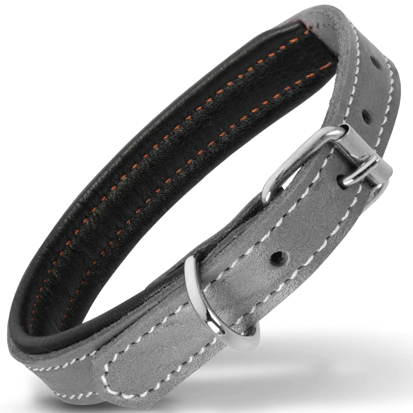 Filbert Genuine Leather Dog Collar for Small Dogs